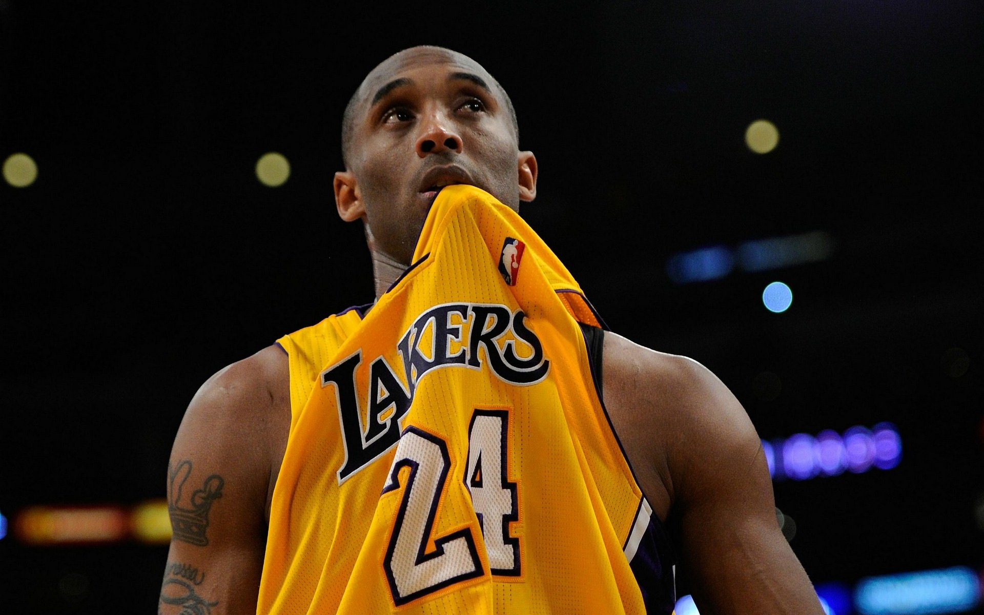 篮板等多项 篮板等多项